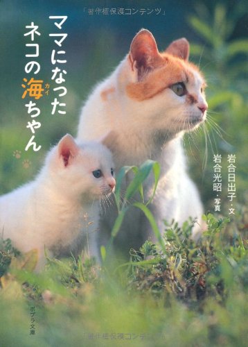 Amazon.co.jp: ([い]3-1)ママになったネコの海ちゃん (ポプラ文庫 い 3