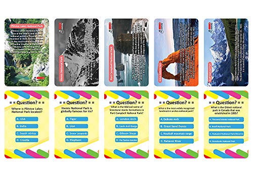 Cartas Trivia Parque Nacional Creanoso (2 baralhos) – Jogos temáticos para festas – meias para decor