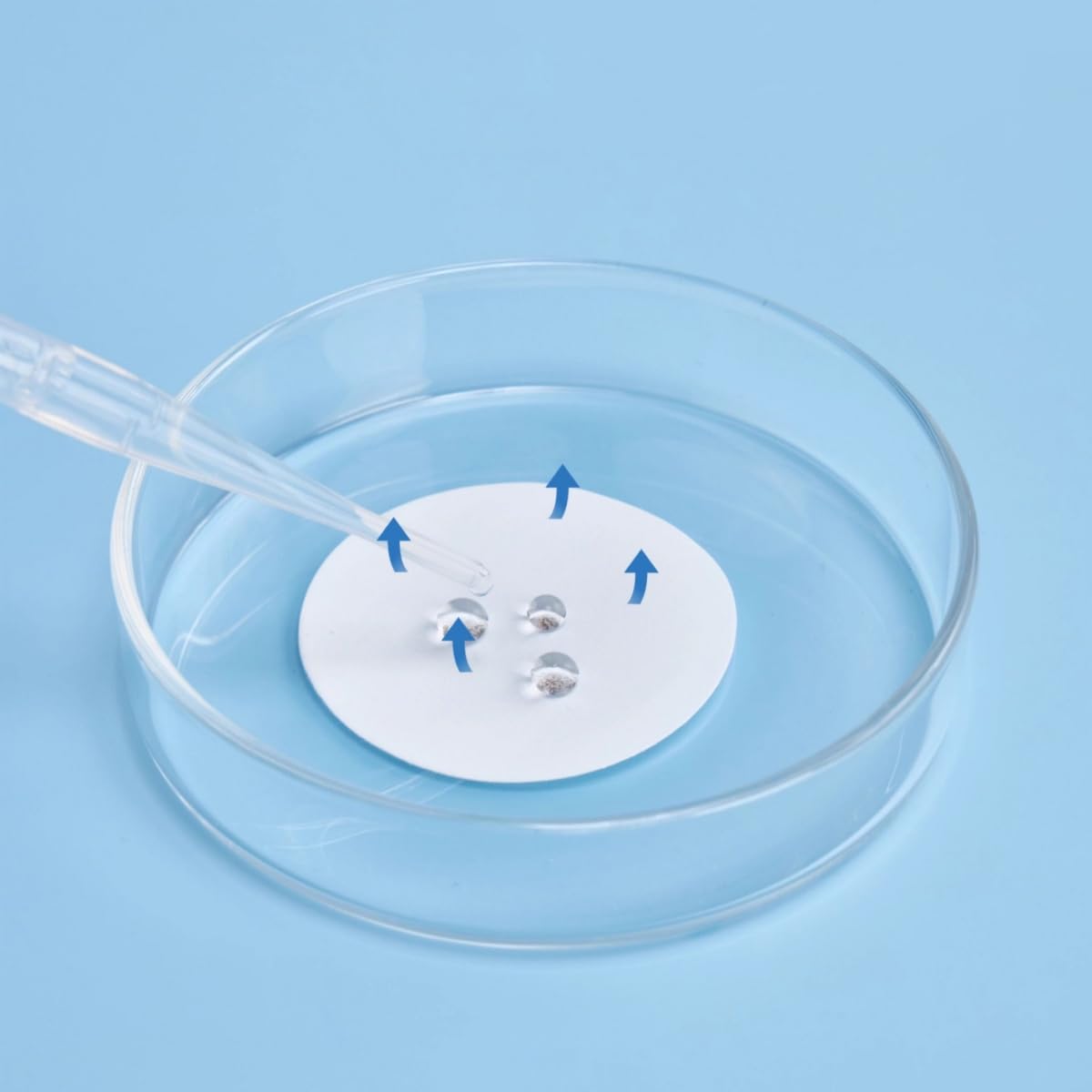 Disco filtrante in PTFE idrofobo da 100 pezzi