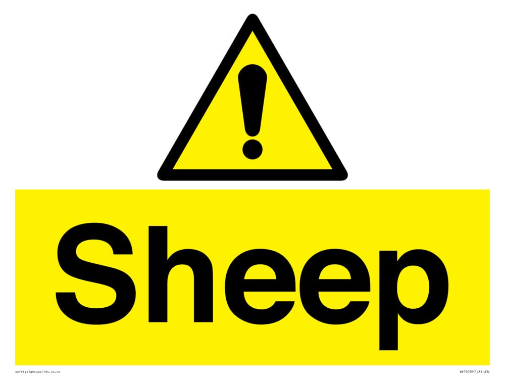 Sheep Sign - 400x300mm - A3L