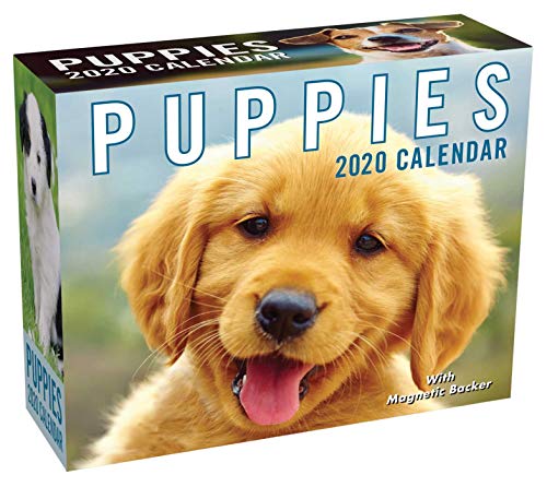 Télécharger Puppies 2020 Calendar Gratuit