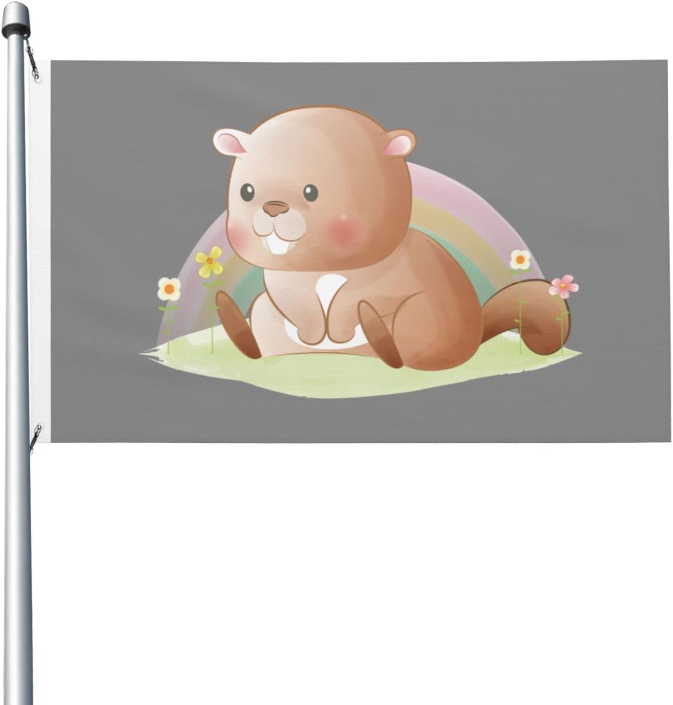 5x beaver quality Clearance