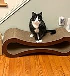 Review Image by K. Spencer K. Spencer