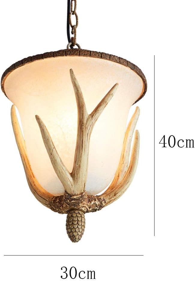 Lustre rustique en résine forme corne de cerf pour remplacer un plafonnier classique