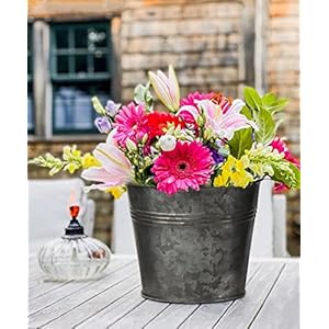 Briful 5 Size Galvanized Buckets Rustic Farmhouse Metal Bucket Galvanized Flower Bucket Home Indoor Outdoor Decorative Tin Planters (3.7In/3.9In/5.1In/5.9In/7.1In) Briful 5 Size Galvanized Buckets Rustic Farmhouse Metal Bucket Galvanized Flower Bucket Home Indoor Outdoor Decorative Tin Planters 37In39In51In59In71In