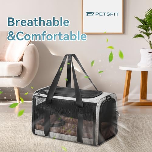 Petsfit Transportbox für Katzen – Faltbare Transporttasche mit Schultergurt, 4-seitigem Netz & weichem Innenkissen – ideal fürs Auto, Reisen & Tierarztbesuche – auch für kleine Hunde