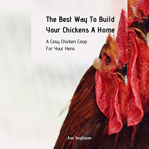The Best Way To Build Your Chickens A Home