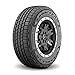 Goodyear Wrangler Fortitude HT all_ Season Radial Tire-255/65R17 110T