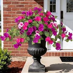 C-light Purple Dark Purple