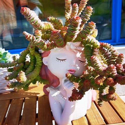 Sprout N Green 4" String of Buttons, Live Crassula 'Baby's Necklace' Trailing Succulent Rooted in Pots, Rare House Plant for Home Office Wedding Hanging Decoration, DIY Projects, Party Favor Sprout N Green 4" String of Buttons, Live Crassula 'Baby's Necklace' Trailing Succulent Rooted in Pots, Rare House Plant for Home Office Wedding Hanging Decoration, DIY Projects, Party Favor