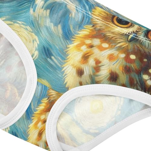 Cute Owl Starry Night Panties for Girl Girls Underwear Toddlers Cotton Cartoon Undies Kids Briefs 2t4
