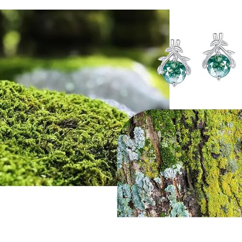 Boucles d'oreilles agate mousse en argent, cadeau de Saint-Valentin