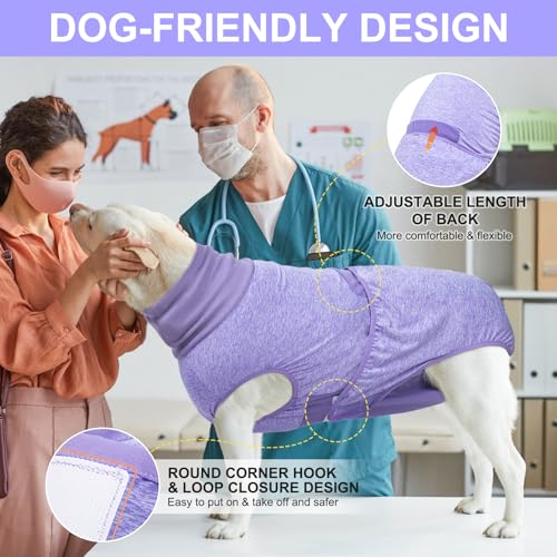 Image of BEAUTYZOO Dog Surgery Recovery Suit, Female Spay, Male Neuter, Anti Licking
