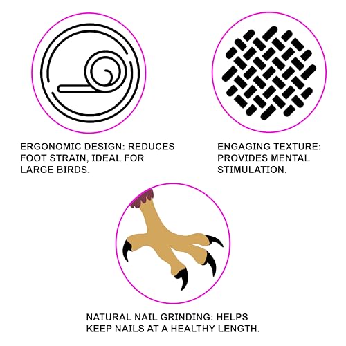 Image of Congo Premium 12 inch Safe Chew Bird Sandy Sand Perch for Grinding Nail for Budgies, Lovebirds, Cockatiels, Conure and Other Small Birds