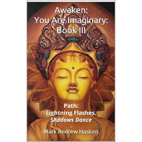 Awaken: You Are Imaginary: Book III by Mark Andrew Haskins episode artwork