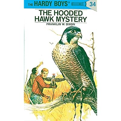 Hardy Boys Set - Books 31-40 Hardcover