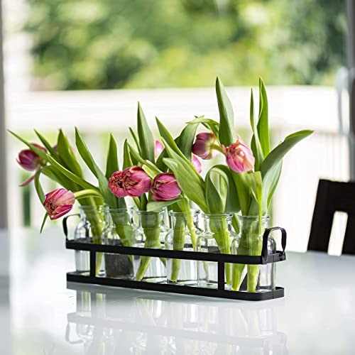 6Pc Glass Flower Vase With Metal Holder, Best Vases For Flowers, Set For Home Decor, Wedding Decorations, Table Decor, Kitchen, Bathroom, Bedroom, Shelf Decor, Best Modern Vase For Flower Arrangement #TOP6