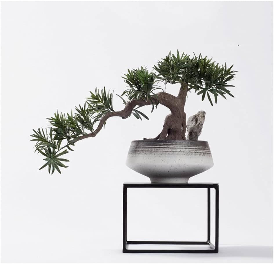 Tomyeus Artificial Trees Artificial Bonsai Tree Fake Ceramic Potted Tree Decoration For Living Room Artificial Tree Decoration Ceramic Flowerpot Home Living Room Office Artificial Plant Amazon Co Uk Home Kitchen Tomyeus Artificial Trees Artificial Bonsai Tree Fake Ceramic Potted Tree Decoration For Living Room Artificial Tree Decoration Ceramic Flowerpot Home Living Room Office Artificial Plant Amazon Co Uk Home Kitchen