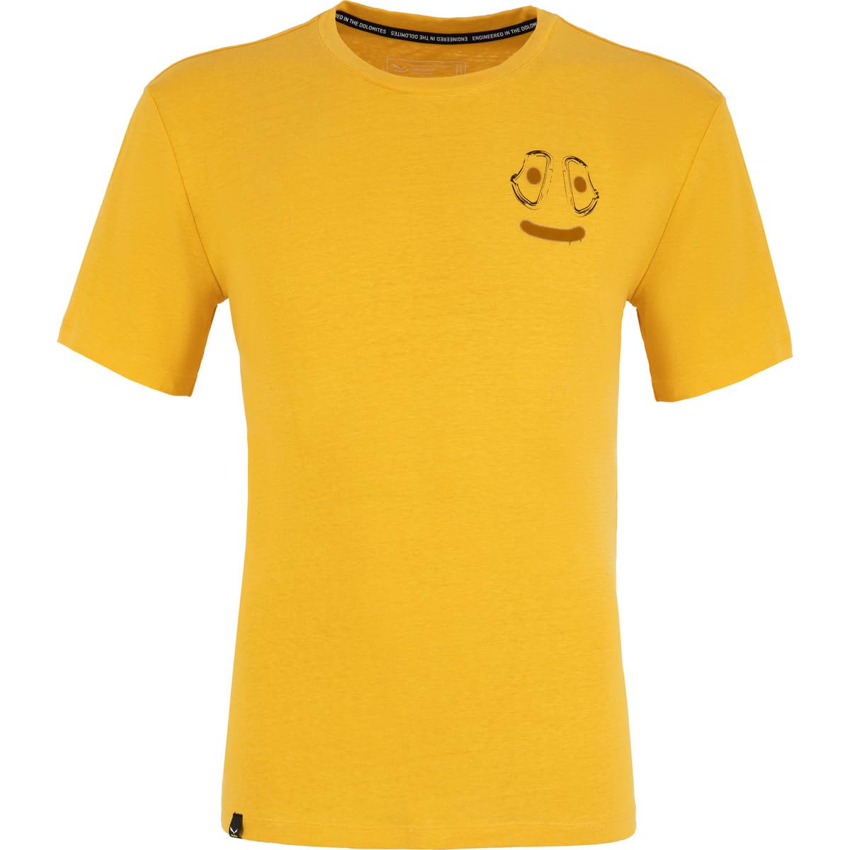 Salewa Herren Lavaredo Hemp Print M T-Shirt. Tshirt (1er Pack)