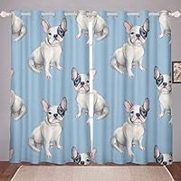 Tende A Pannello Dinosauro Jurassic - Set 2 Pezzi 150x245 Cm, Microfibra, Per Camera Bambini - Foto 2