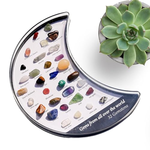 Soporte de,32 Piedras Preciosas Joyas Estéticas Decoración de Mesa - Bandejas de presentación de Para Organizar - Para Mujeres Hombres Hogar Dormitorio Salón Oficina Baño Dormitorio