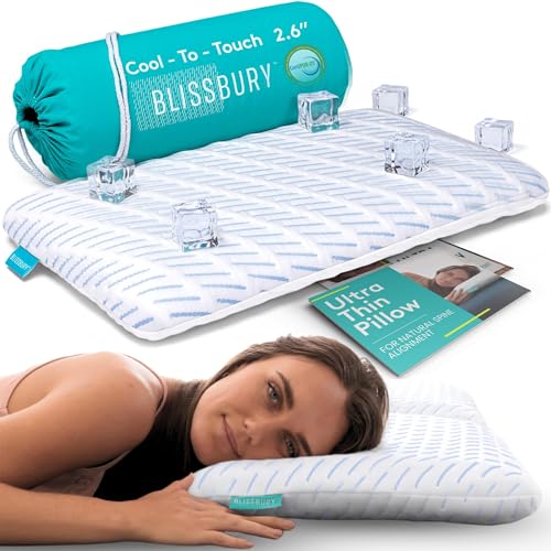 BLISSBURY Cooling Stomach Sleeper Pillow, Thin Memory Foam, 2.6 Inch