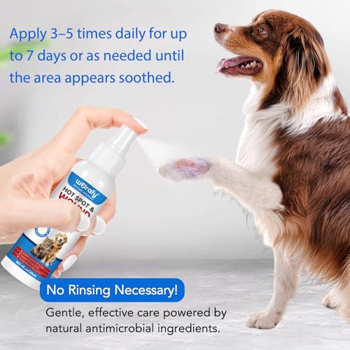 ZODENIS Wundspray Hund & Katzen, 120ml Haustier Wundspray, Wundpflege für Hunde, Regeneration der Haut bei Wunden, Entzündungen und Irritationen, Narben- und gegen Juckreiz & Kratzen