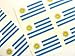 Mini Pack Autocollant, 33x20mm Rectangle, Autocollantes Uruguay Étiquettes, Uruguay Drapeau Autocollants