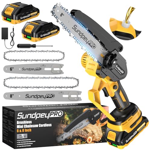 Mini motosierra de 8 y 6 pulgadas con baterías, 2 x 2,0 Ah – 21 V, batería sin escobillas, con engrasador y tensión de cadena sin herramientas, motosierra manual, sierra de podar inalámbrica para