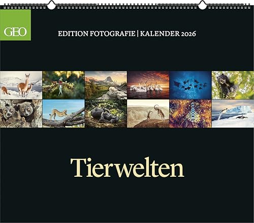 GEO - GEO Edition: Tierwelten 2026 – Wandkalender 70x60 cm, Tier-Poster-Kalender mit Wildlife-Fotografie, 12 Monatsblätter & Spiralbindung inkl. Postkarten für Tier- und Naturfreunde