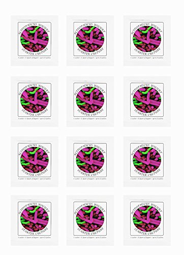 Yogurt Starter Cultures - Pack of 12 Freeze-dried Culture Sachets for Acidophilus Yogurt (12) - Thumbnail 3