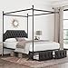Keyluv Queen Upholstered Canopy Bed Frame with 2 Drawer and Button Tufted Headboard Metal Platform Bed with 4 Removable Posts Two-Purpose Velvet Bed No Box Spring Needed Dark Grey/Curtain Not Included