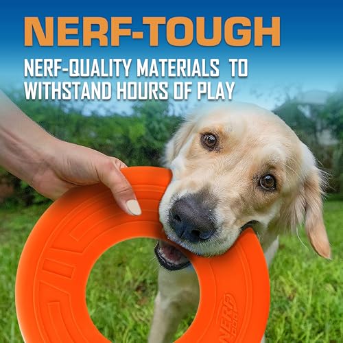 Nerf Dog Atomic Flyer Outdoor Dog Toy, 10 Inch Flying Disc Dog Fetch Toy, Rubber Dog Toy for Medium Dogs and Large Dogs, Orange by Nerf Dog - Image 4