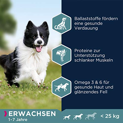 Eukanuba Hundefutter mit Lamm & Reis für kleine und mittelgroße Rassen - Trockenfutter für ausgewachsene Hunde, 2,5 kg