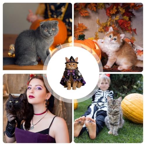 Disfraces Halloween para gatos que evitan el estrés en las reuniones en casa 5