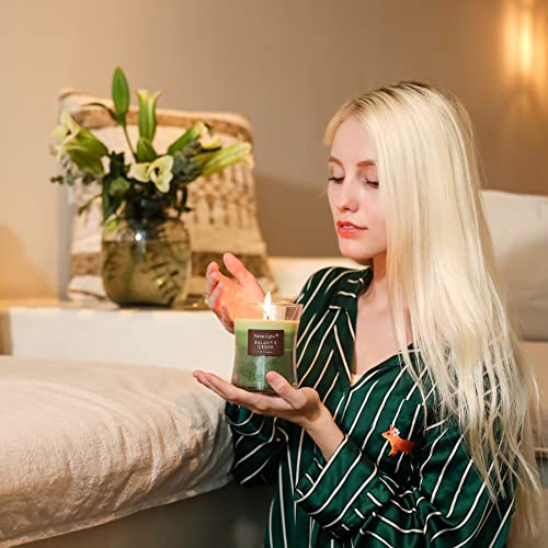 Homelights 3-Layer Highly Scented Candles - Balsam & Cedar, Hourglas Candles For Home - Burns Up To 45 Hours, Natural Soy Wax, Wooden Lid, 11.3 Oz,Medium Jar #TOP5
