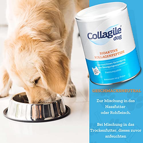 Collagile Dog Hunde Ergänzungsfutter für Knochen und Bänder Bioaktive Kollagenpeptide in Lebensmittelqualität (6 x 225g)