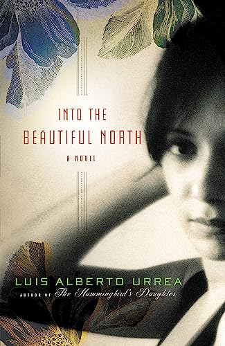 Into the Beautiful North: A Novel