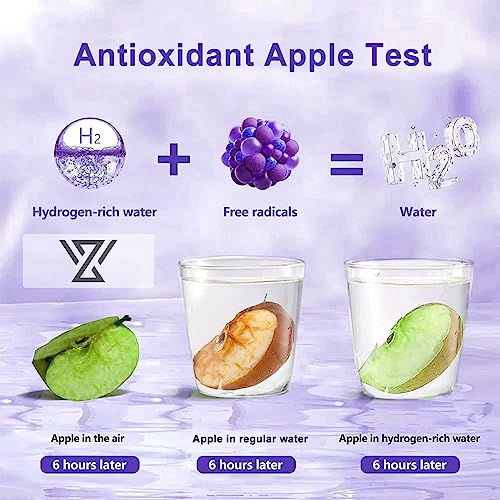 HomEnjoy Hydrogen Water Generator Bottle, SPE & PEM Technology, 14OZ Portable Rechargeable Hydrogen Water Ionizer Machine, for Home Office Gift Travel Fitness Daily Drinking - Image 5