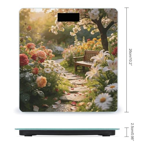 Báscula Digital de Baño con Pantalla LED Clara y Vidrio Templado miniatura 2