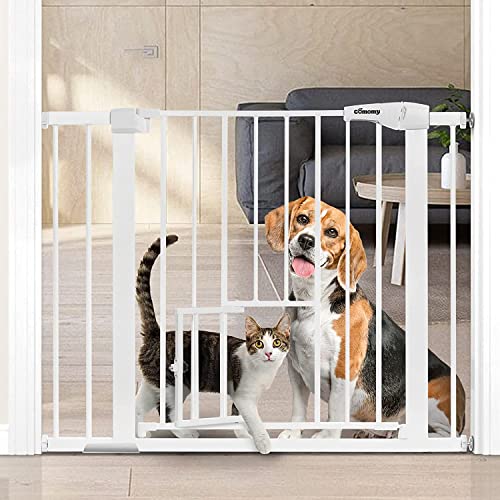 Faszinierend Trschutzgitter Mit Katzenklappe Bild