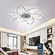 Wildcat Deckenventilator mit Beleuchtung, Modern LED Dimmbar Deckenleuchte mit Ventilator und Fernbedienung Leise, Kreativer 6 Lichter Design Deckenventilator für Schlafzimmer Küche Esszimmer…