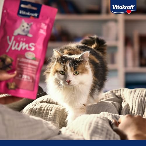 Vitakraft Cat Yums, Katzen Leckerli, weicher Katzensnack gefüllt mit Käse, im wiederverschließbaren Beutel, ohne Zusatz von Zucker (1x 40g)