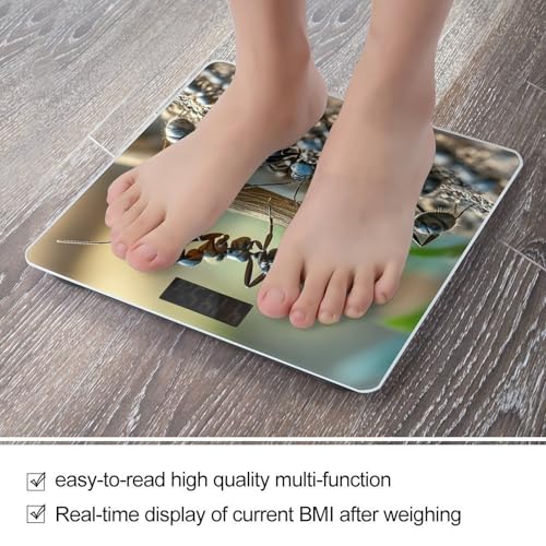 Báscula Digital Ant Bridge de Vidrio Templado para Baño miniatura 5
