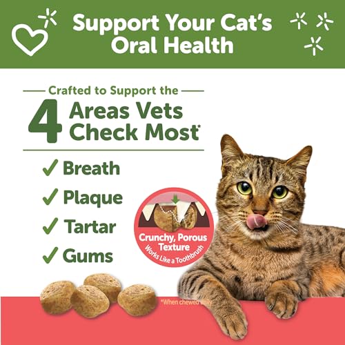 Image of Whimzees Wellness Cat Dental Treats, Freshens Breath, Chicken and Salmon Flavor, 4.5 oz Bag (Pack of 2)
