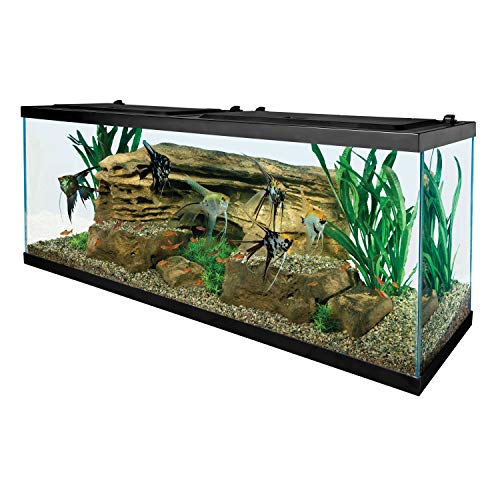 Image of Tetra Glass Aquarium 55 Gallons, Rectangular Fish Tank (NV52018)
