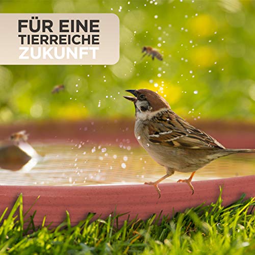 JoDaK Vogeltränke und Insektentränke (Terracotta) Vogelbad stehend groß, Kunststoff frostsicher und Winterfest, Garten-Dekoration, Balkon Deko Schale