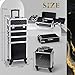 Stagiant Rolling Makeup Case Cosmetology Case on Wheels 4 in 1 Large Cosmetic Organizer Train Case Makeup Travel Case with Key Swivel Wheels Nail Artist Salon Storage Traveling Cart Trunk Black