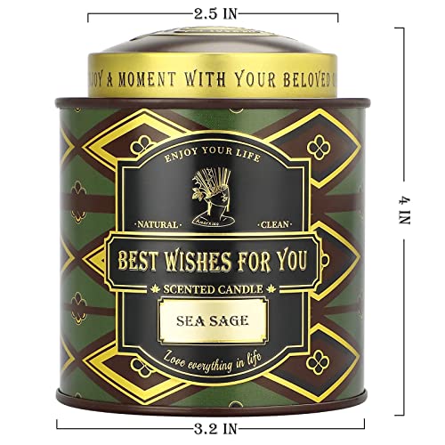 Sage Candles For Cleansing House, Banishes Negative Energy, Sage Smudge Scented Candles For Meditation, 10 Oz Jar Candle For Home Scented, 70 Hours Lasting, Aromatherapy Soy Candle Gifts For Women #TOP7