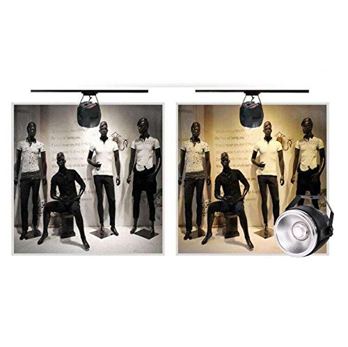 Par Led Stage Light,Senlan Led 40W Double White/Cool White&Warm White Par Led Light For Stage/Wedding/Party/Theat/Studio(Double White Par) #TOP3